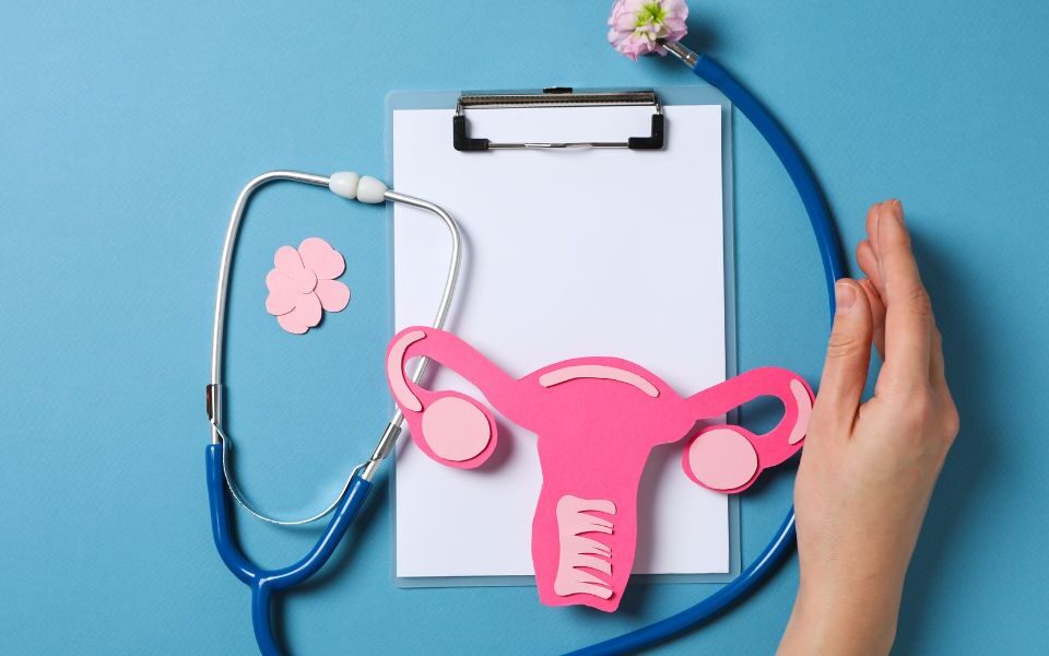 Best Doctor For Infertility Ravet